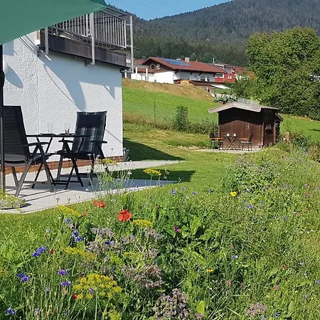 Apartment Wiesengruen - Osserblick
