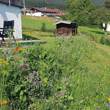 Wiesengruen - Osserblick Appartement *