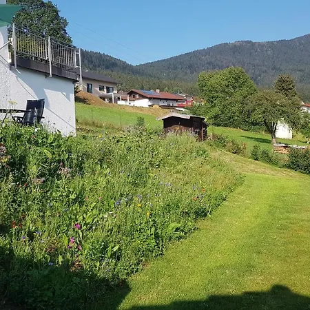 Wiesengruen - Osserblick Lam