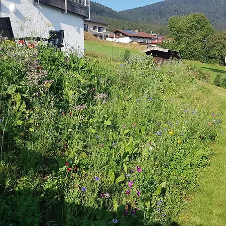 Wiesengruen - Osserblick Apartment *