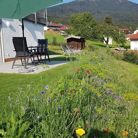 Wiesengruen - Osserblick * Лам