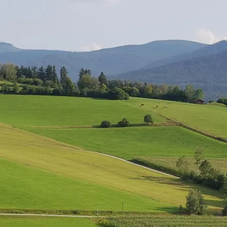 Wiesengruen - Osserblick * Лам