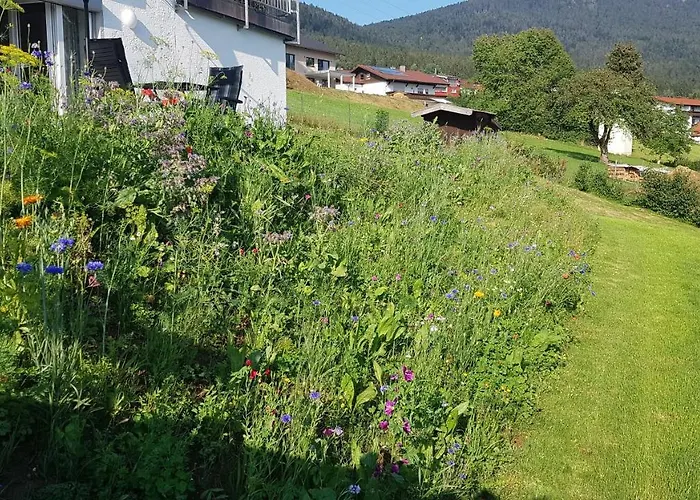 Wiesengruen - Osserblick Апартаменты *